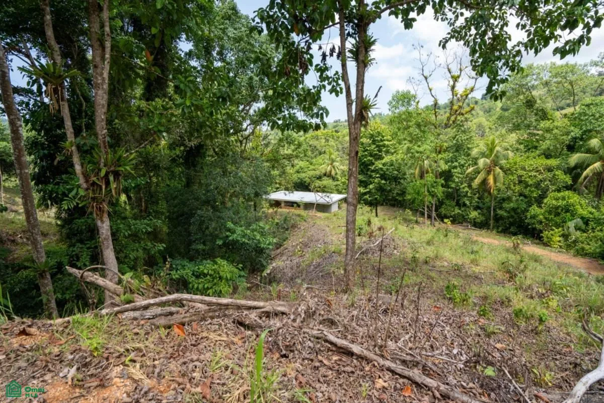 Finca Dos Bocas , Bahía Ballena, Osa, Puntarenas, photo 15