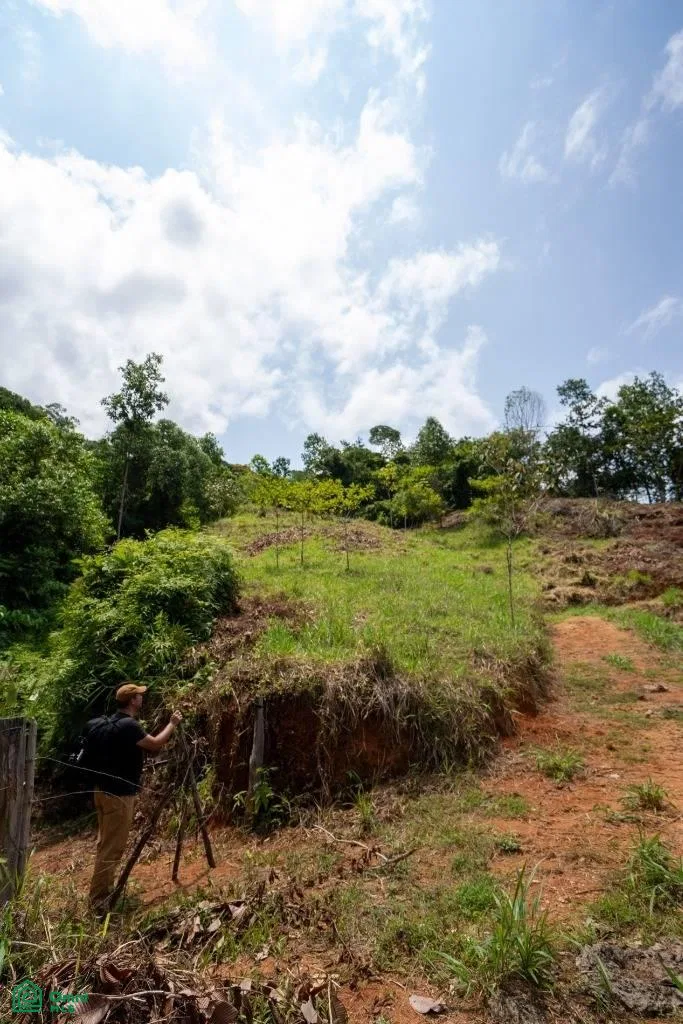 Finca Dos Bocas , Bahía Ballena, Osa, Puntarenas, photo 16