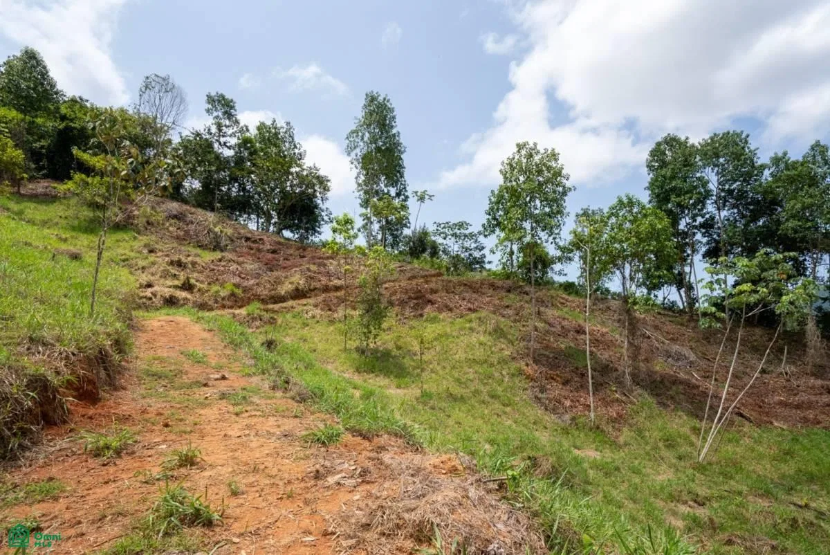 Finca Dos Bocas , Bahía Ballena, Osa, Puntarenas, photo 17