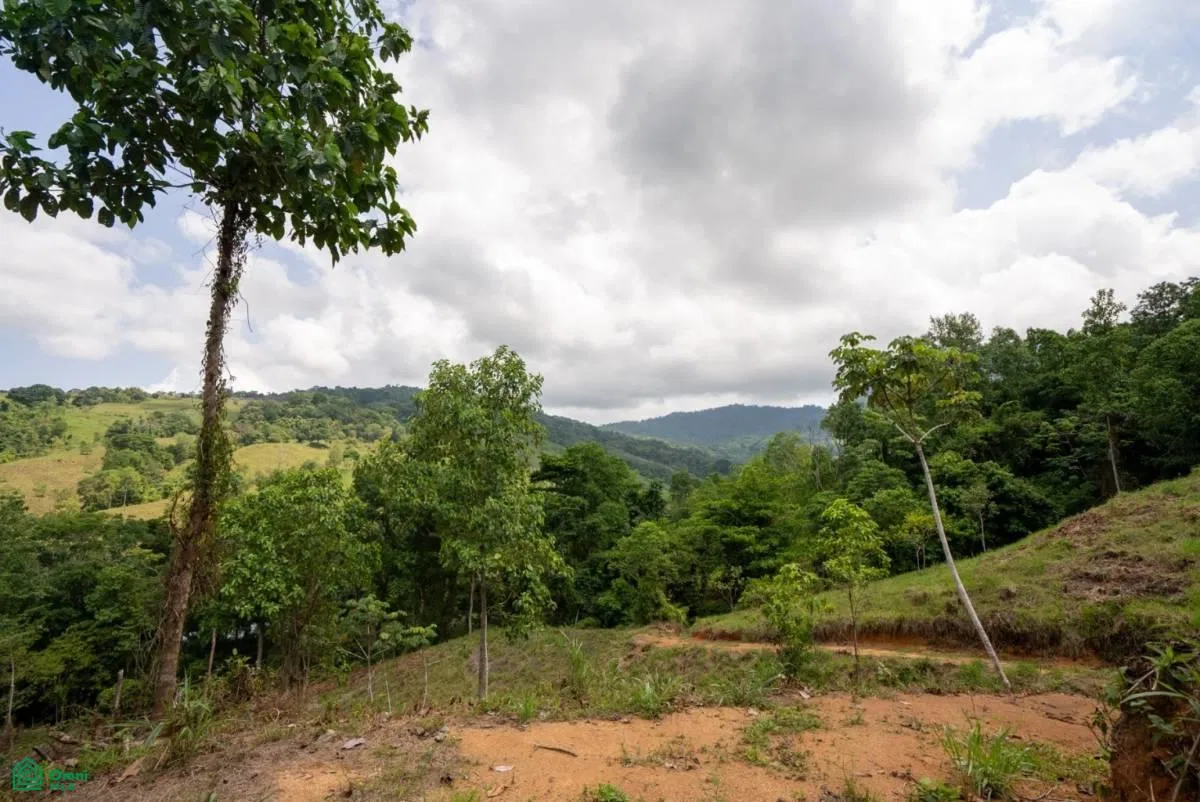 Finca Dos Bocas , Bahía Ballena, Osa, Puntarenas, photo 20