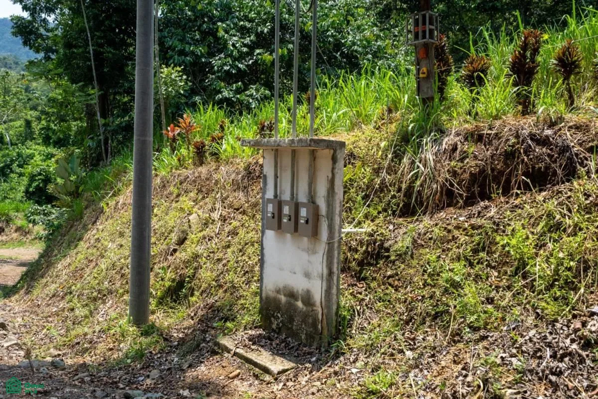 Finca Dos Bocas , Bahía Ballena, Osa, Puntarenas, photo 3