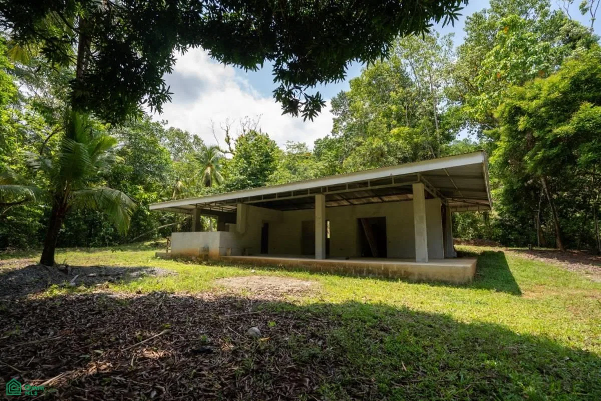 Finca Dos Bocas , Bahía Ballena, Osa, Puntarenas, photo 4