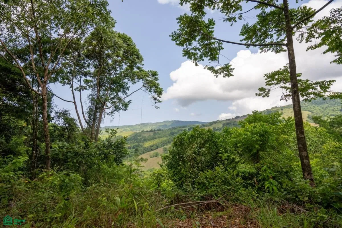 Finca Dos Bocas , Bahía Ballena, Osa, Puntarenas, photo 31