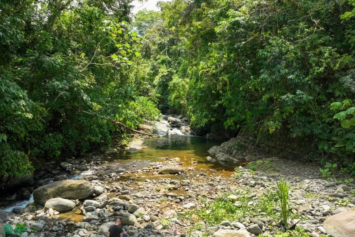 Finca Dos Bocas , Bahía Ballena, Osa, Puntarenas, photo 36