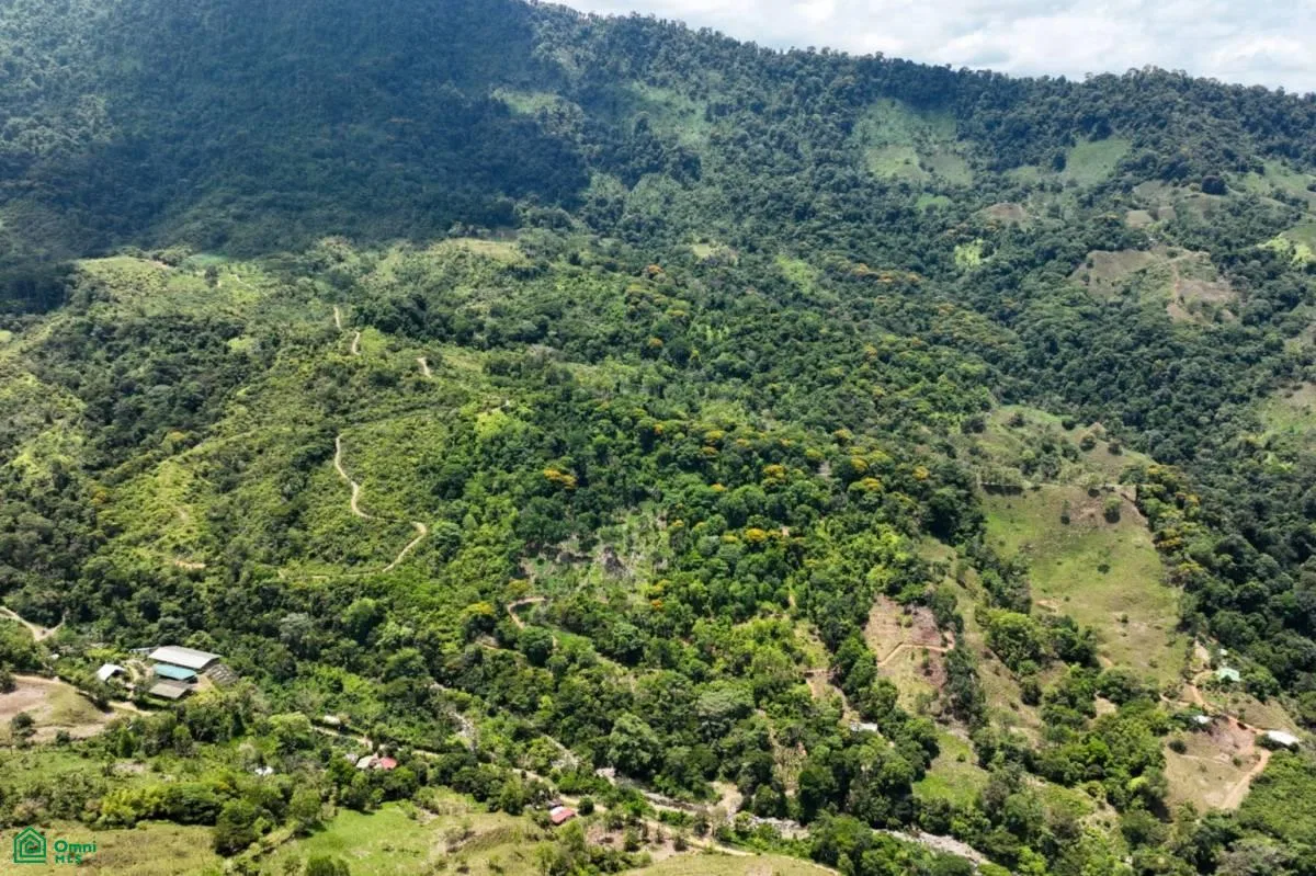Finca Dos Bocas , Bahía Ballena, Osa, Puntarenas, photo 40