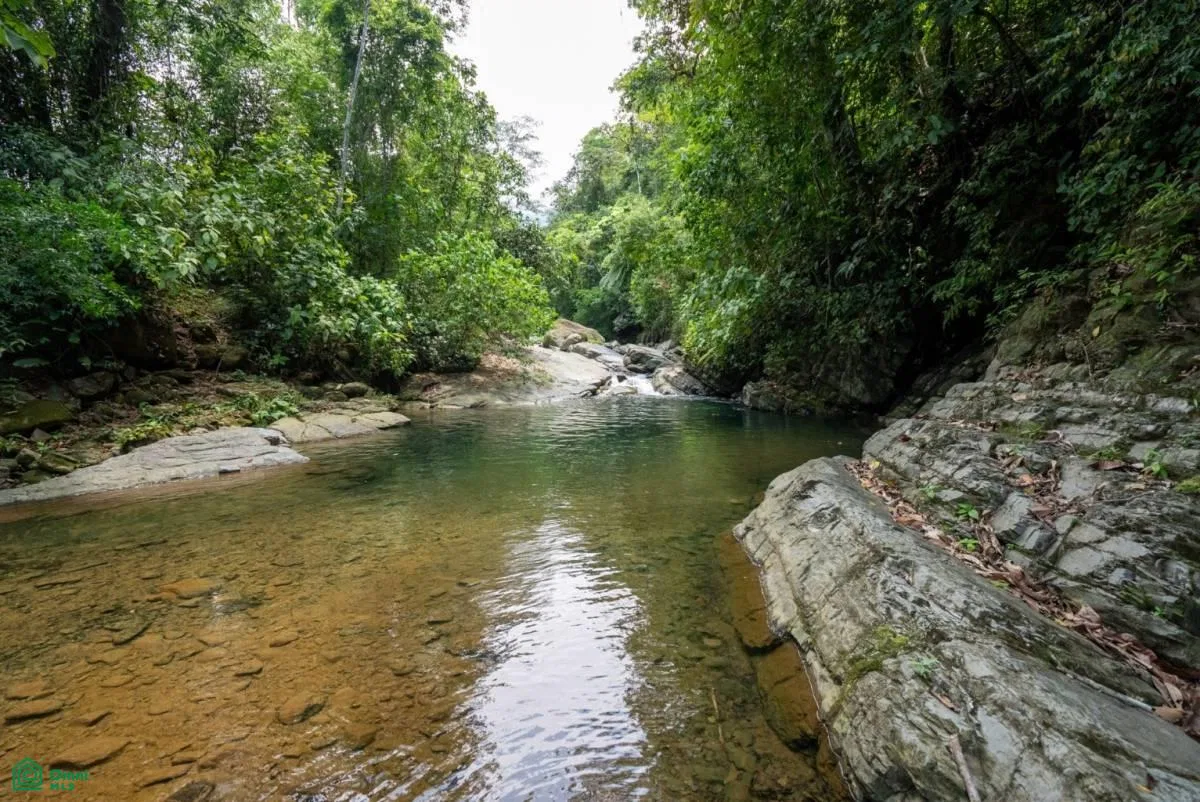 Finca Dos Bocas , Bahía Ballena, Osa, Puntarenas, photo 7