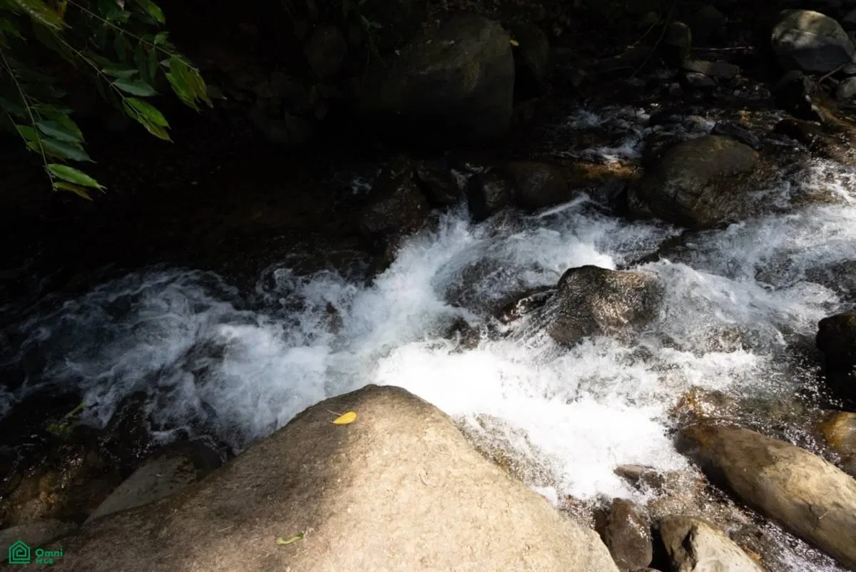 Finca Dos Bocas , Bahía Ballena, Osa, Puntarenas, photo 8