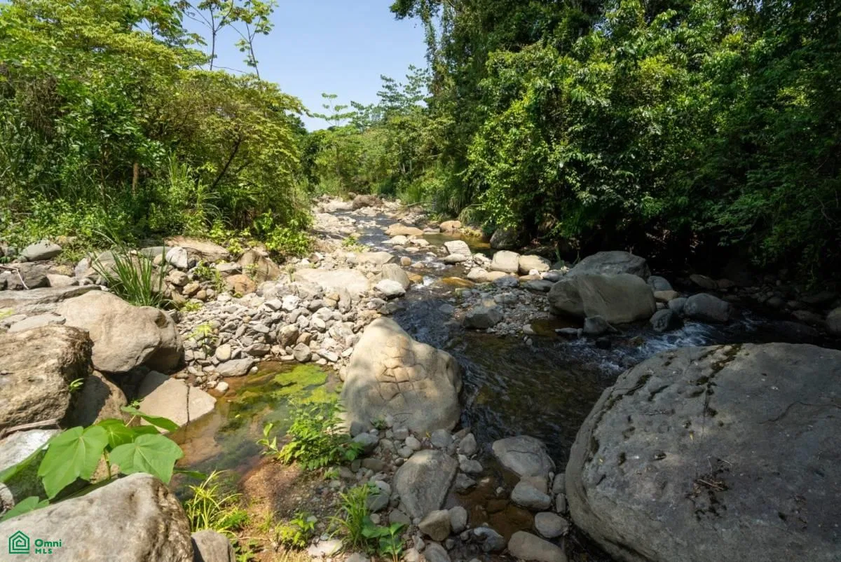 Finca Dos Bocas , Bahía Ballena, Osa, Puntarenas, photo 9