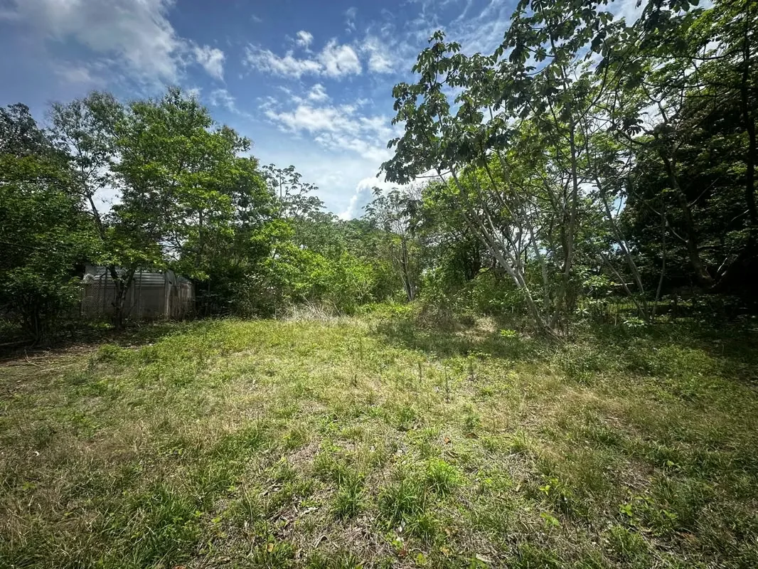 Centrally Located Lot for Sale in Orotina – 2,385 m²