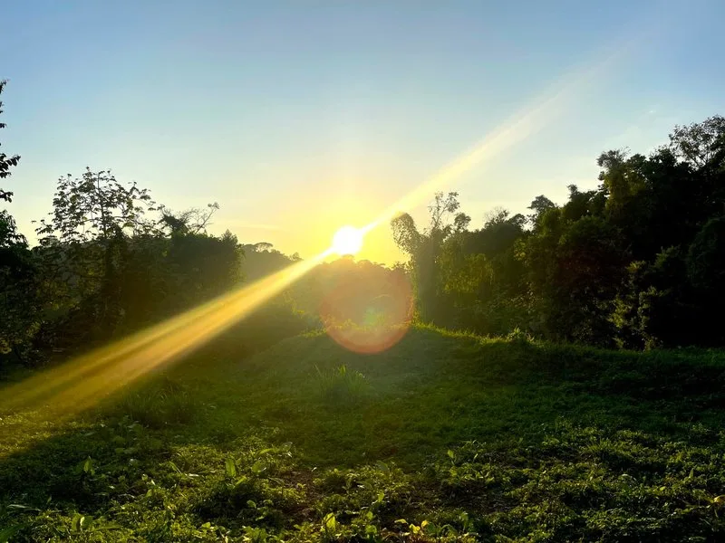 Land For Sale in Dominical, photo 2