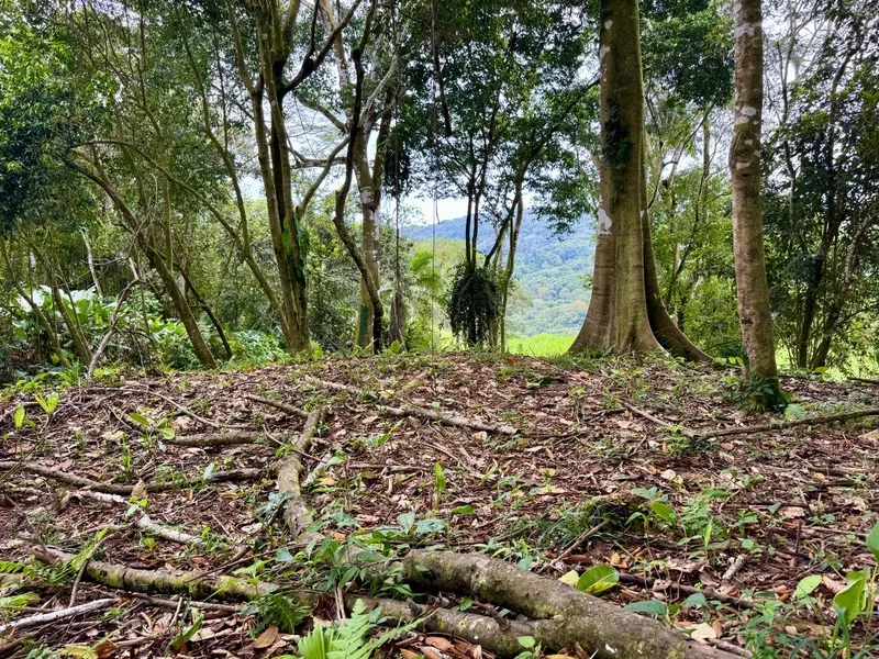 Land For Sale in Dominical, photo 12