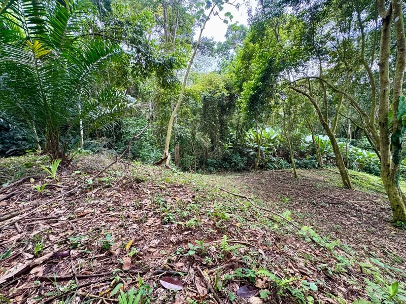 Land For Sale in Dominical, photo 14