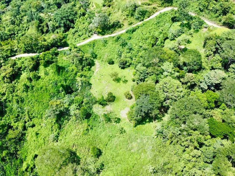 Land For Sale in Dominical, photo 3