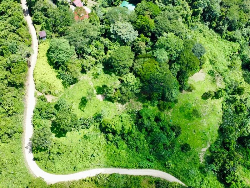 Land For Sale in Dominical, photo 6