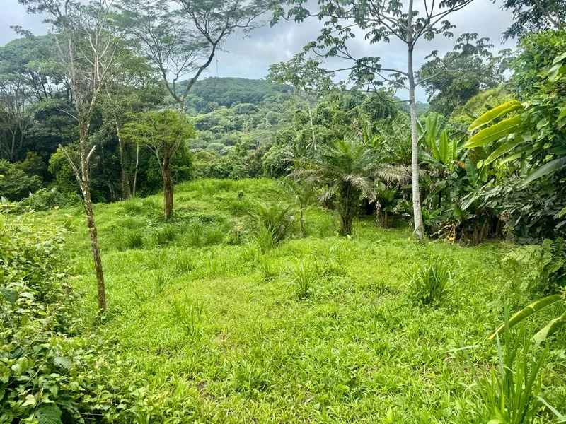 Land For Sale in Dominical, photo 7