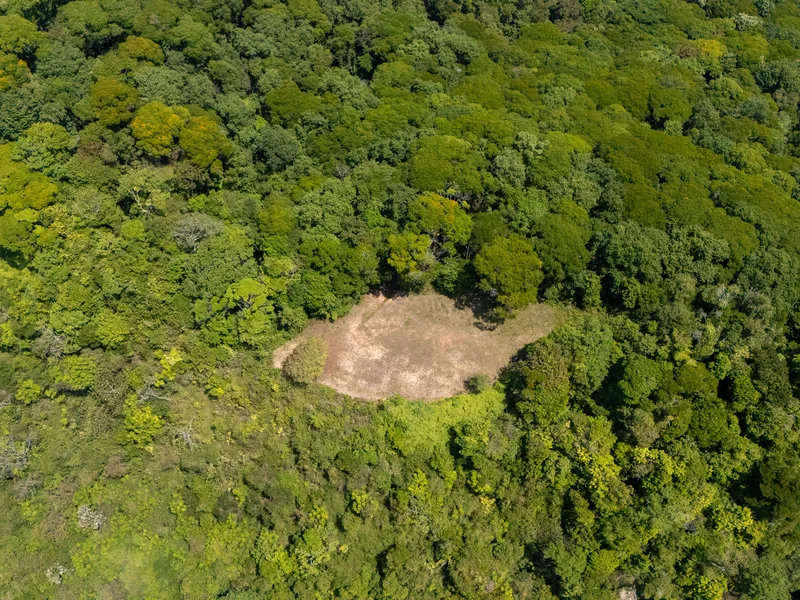 Land For Sale in Dominical, photo 12