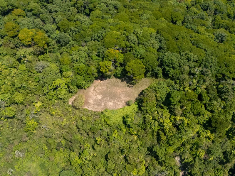Land For Sale in Dominical, photo 13