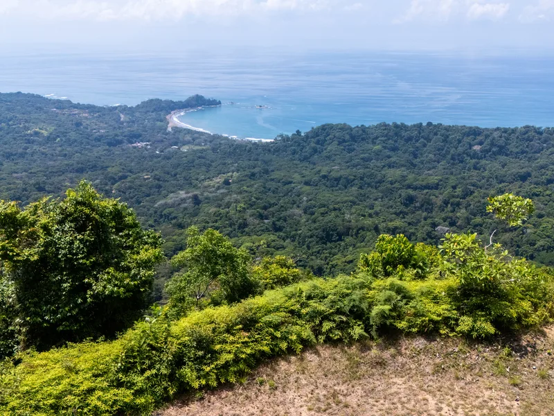 Land For Sale in Dominical, photo 15