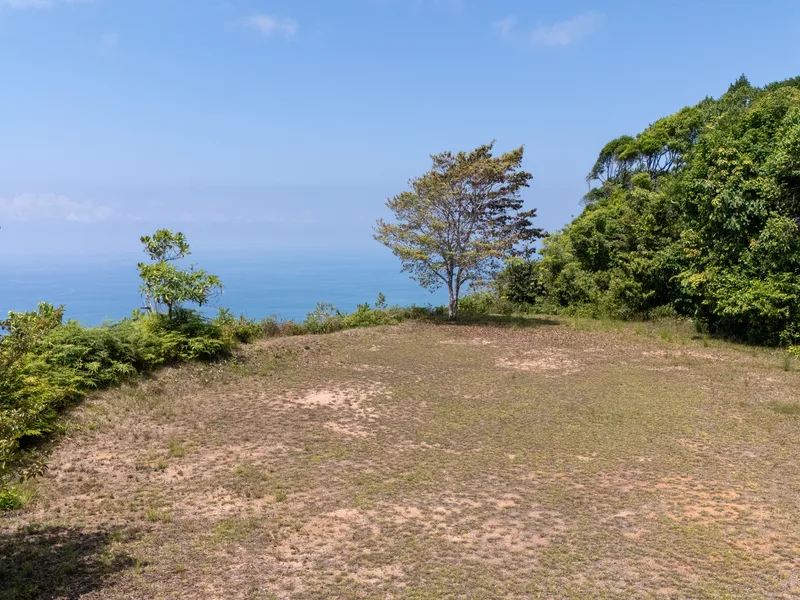 Land For Sale in Dominical, photo 3