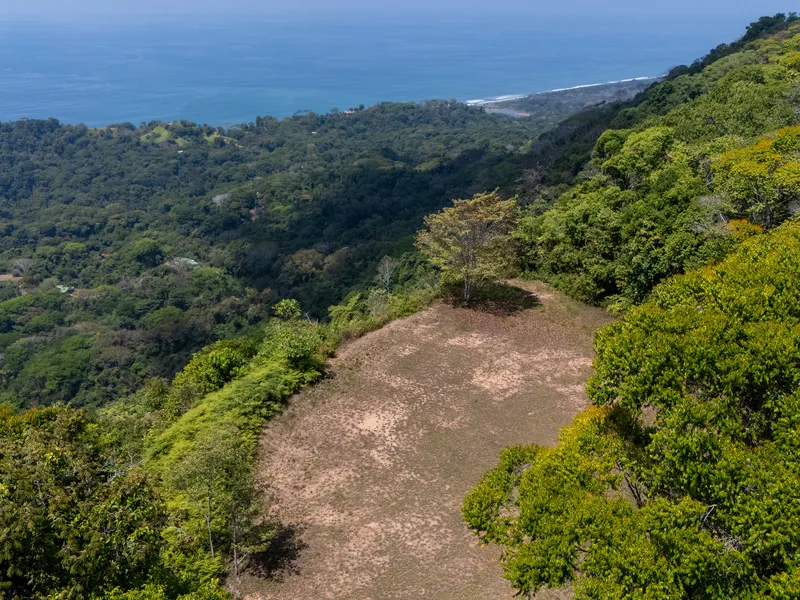 Land For Sale in Dominical, photo 5