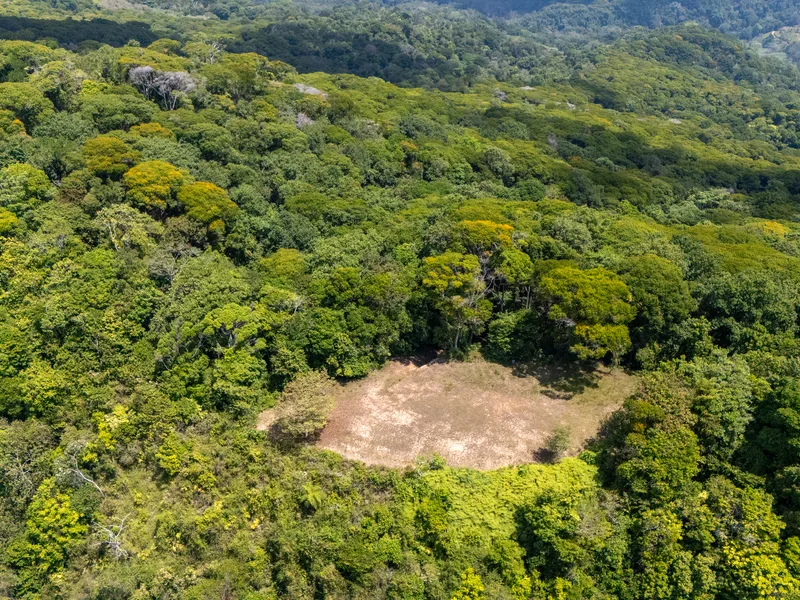 Land For Sale in Dominical, photo 9
