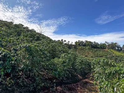 🌿 Paraíso Eco-Agropecuario con Vistas al Río en Berlín de Páramo 🌄, photo 9
