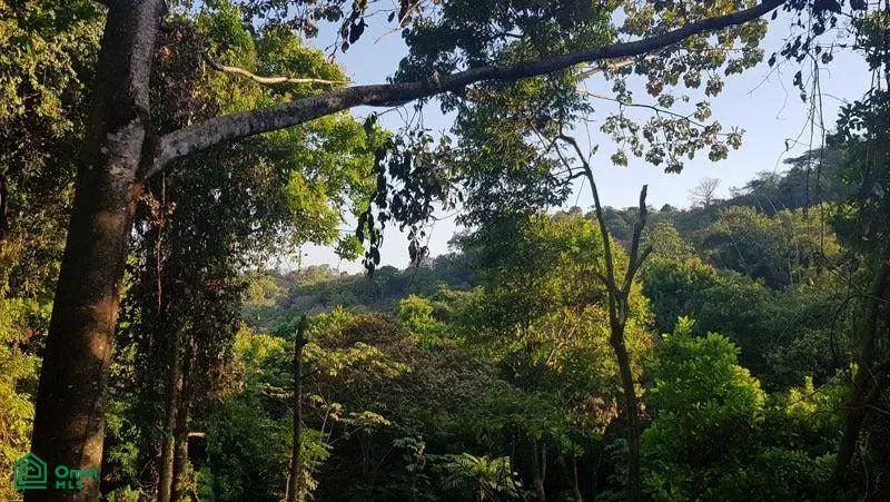 Building Lot in Manuel Antonio | Villa Liro, Quepos, Puntarenas 60601