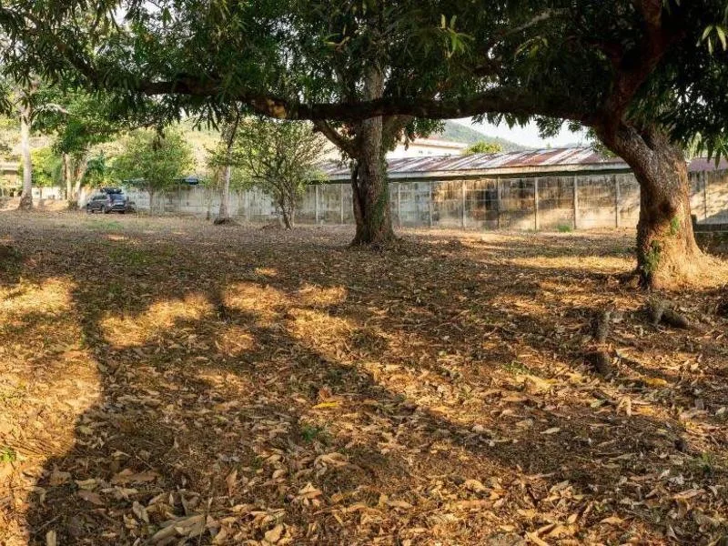 Land For Sale in Jaco