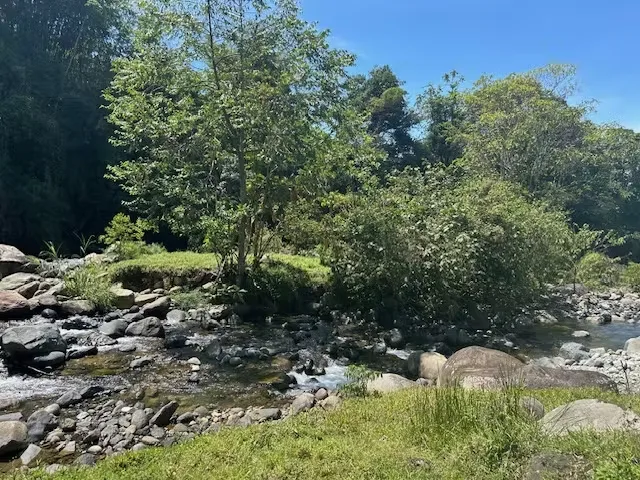 Located in the prestigious Santa Teresa de Cajón area, this property is a hidden gem that combines the serenity of rural life with exceptional investment potential in the canton of ..., photo 9