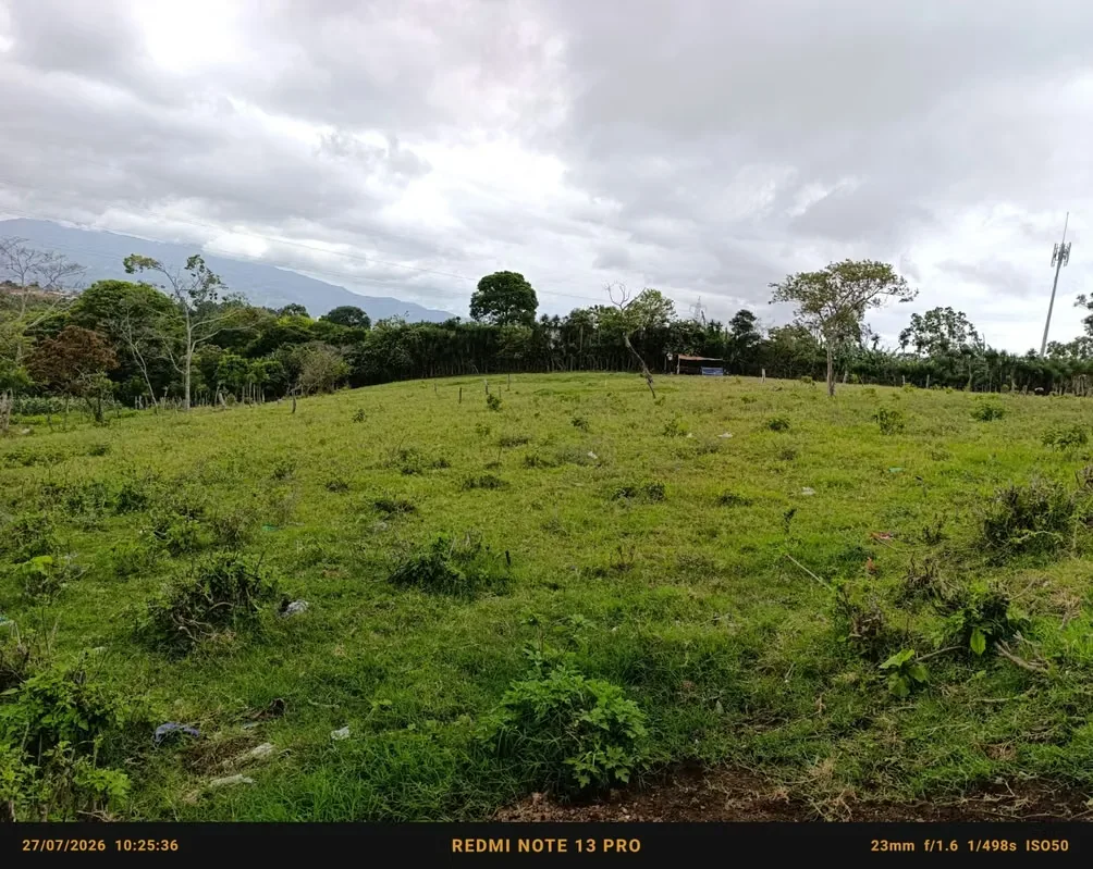 Finca de 32.481 m² en Guadalupe: ideal para desarrollo de condominio o urbanización con vista a las montañas., photo 11