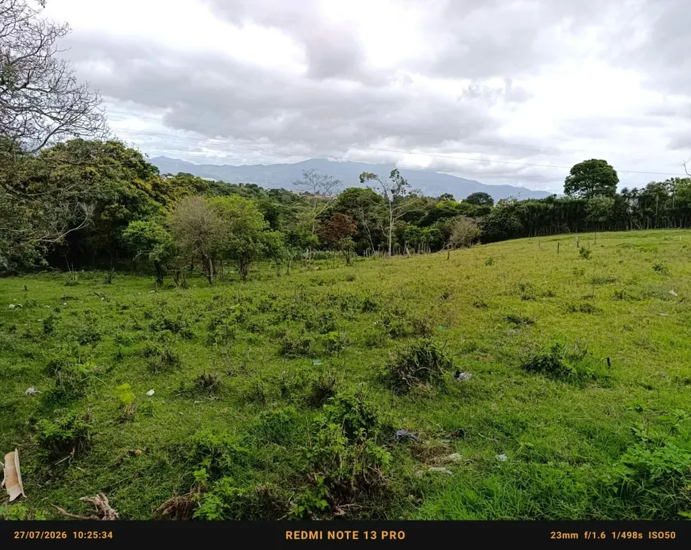 Finca de 32.481 m² en Guadalupe: ideal para desarrollo de condominio o urbanización con vista a las montañas., photo 12
