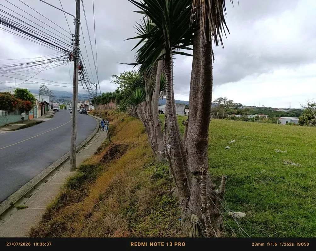 Finca de 32.481 m² en Guadalupe: ideal para desarrollo de condominio o urbanización con vista a las montañas., photo 4
