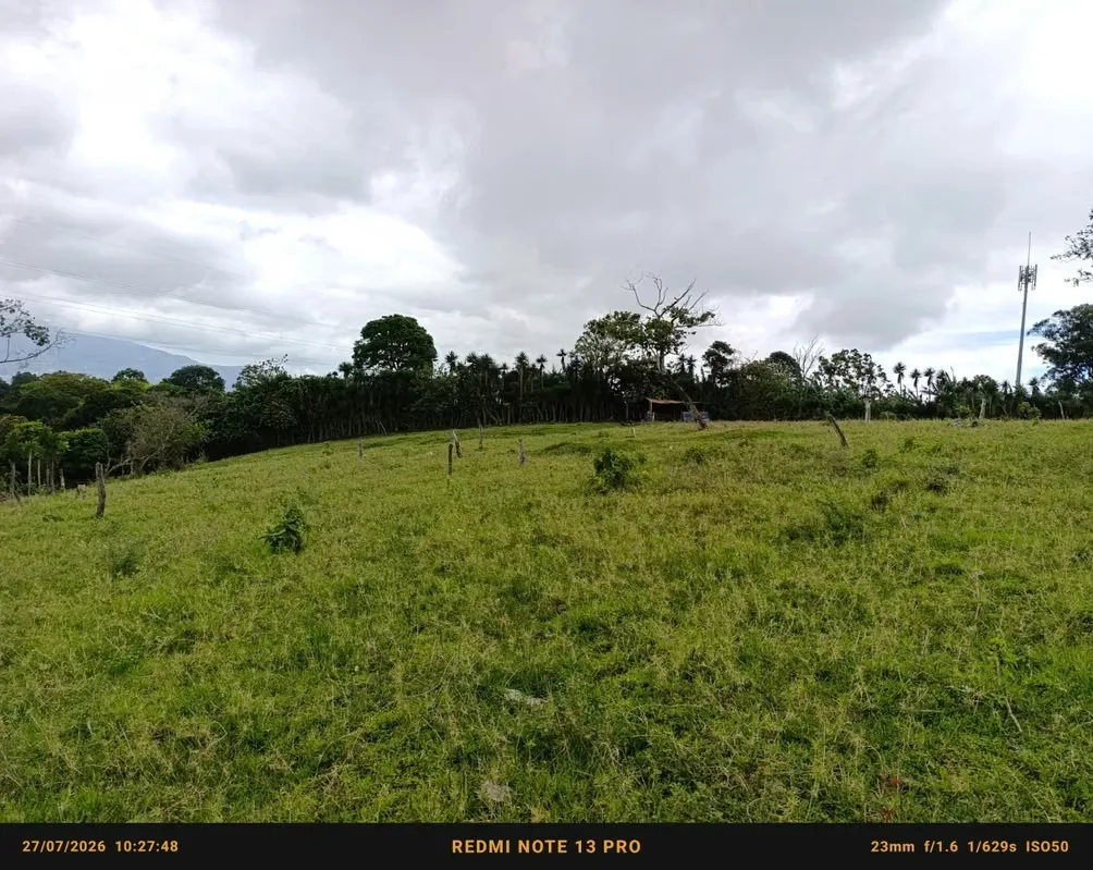 Finca de 32.481 m² en Guadalupe: ideal para desarrollo de condominio o urbanización con vista a las montañas., photo 8