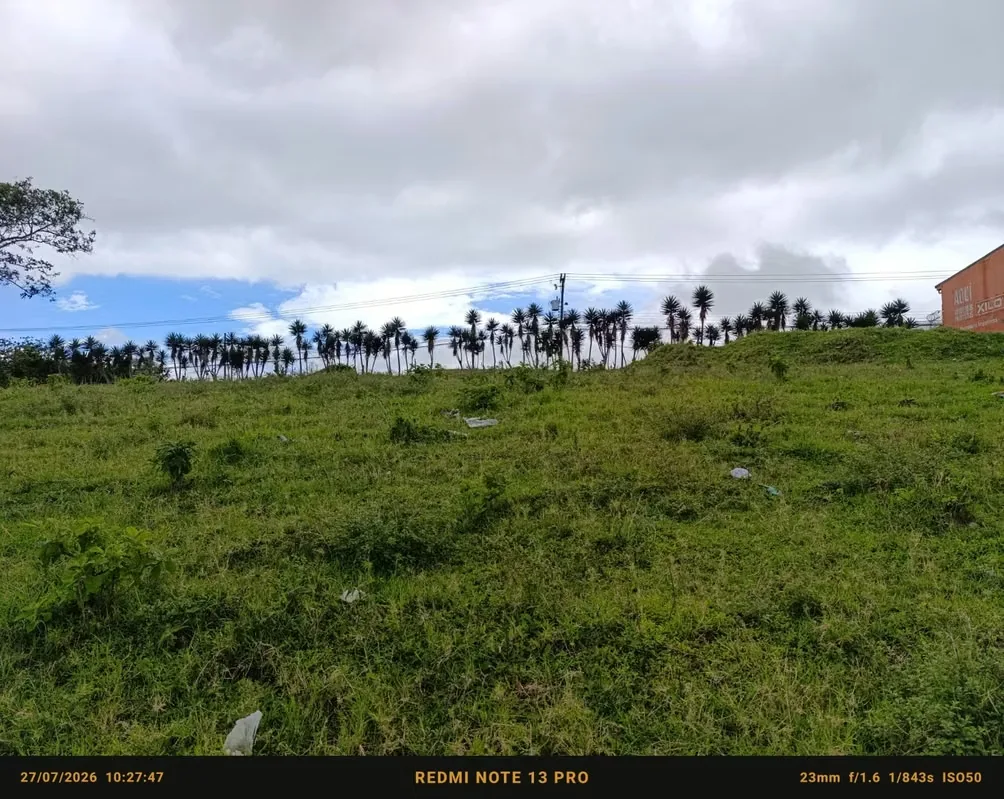 Finca de 32.481 m² en Guadalupe: ideal para desarrollo de condominio o urbanización con vista a las montañas., photo 9