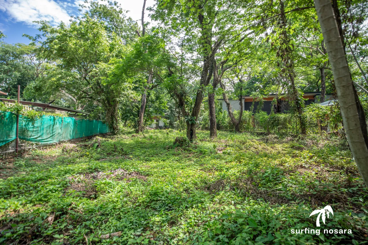 1/2-acre lot in Nosara Springs, 15-min walk to Playa Pelada, 10-min to River