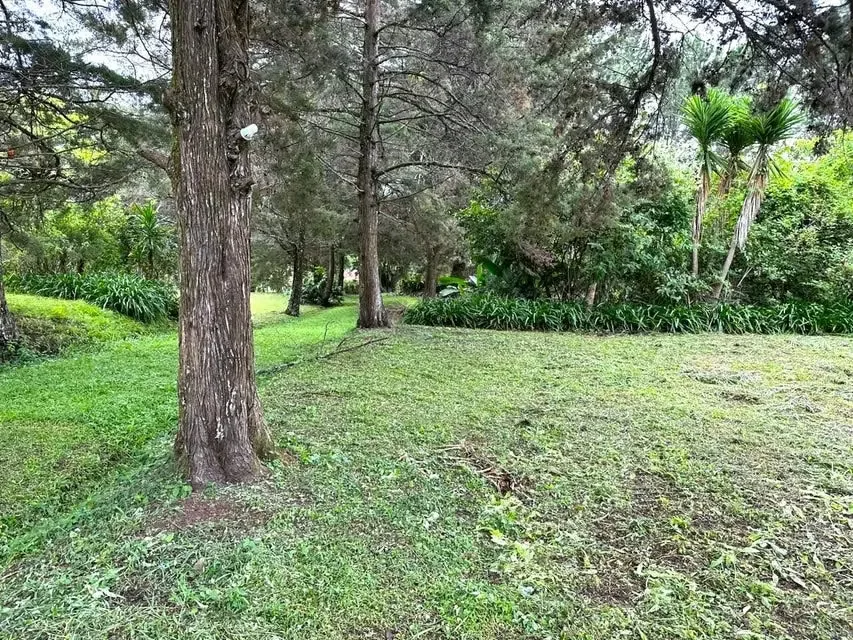 Amplio Uso de Suelo Mixto: Residenciales y Condominios y Comercial. Descubre una oportunidad única de inversión en el corazón de SAN ISIDRO DE HEREDIA, Costa Rica, photo 5