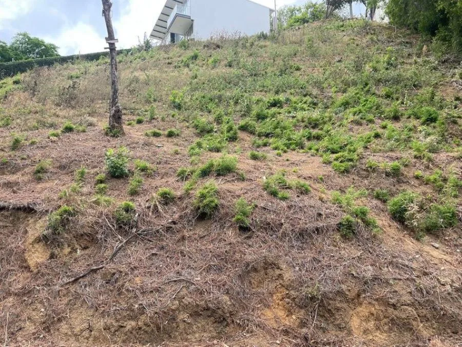 VENTA DE LOTE EN SAN  JOSE CANTON MORA - Venta en Mora