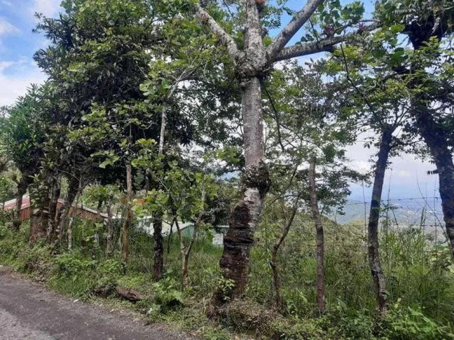 Venta de Lote en Santa Ana, San José.  - Venta en Santa Ana, photo 10