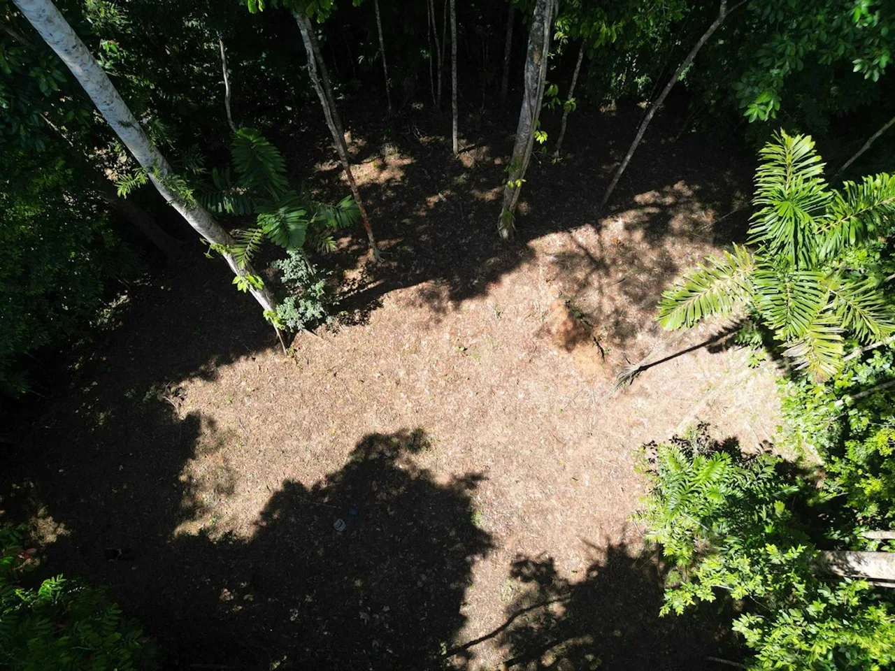 DEVELOPMENT MOUNTAIN  PROPERTY, IN PLATANILLO – 40.7 ACRES, photo 13