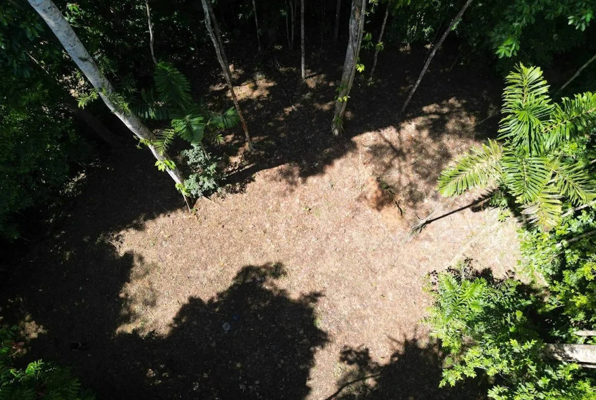 DEVELOPMENT MOUNTAIN  PROPERTY, IN PLATANILLO – 40.7 ACRES, photo 14