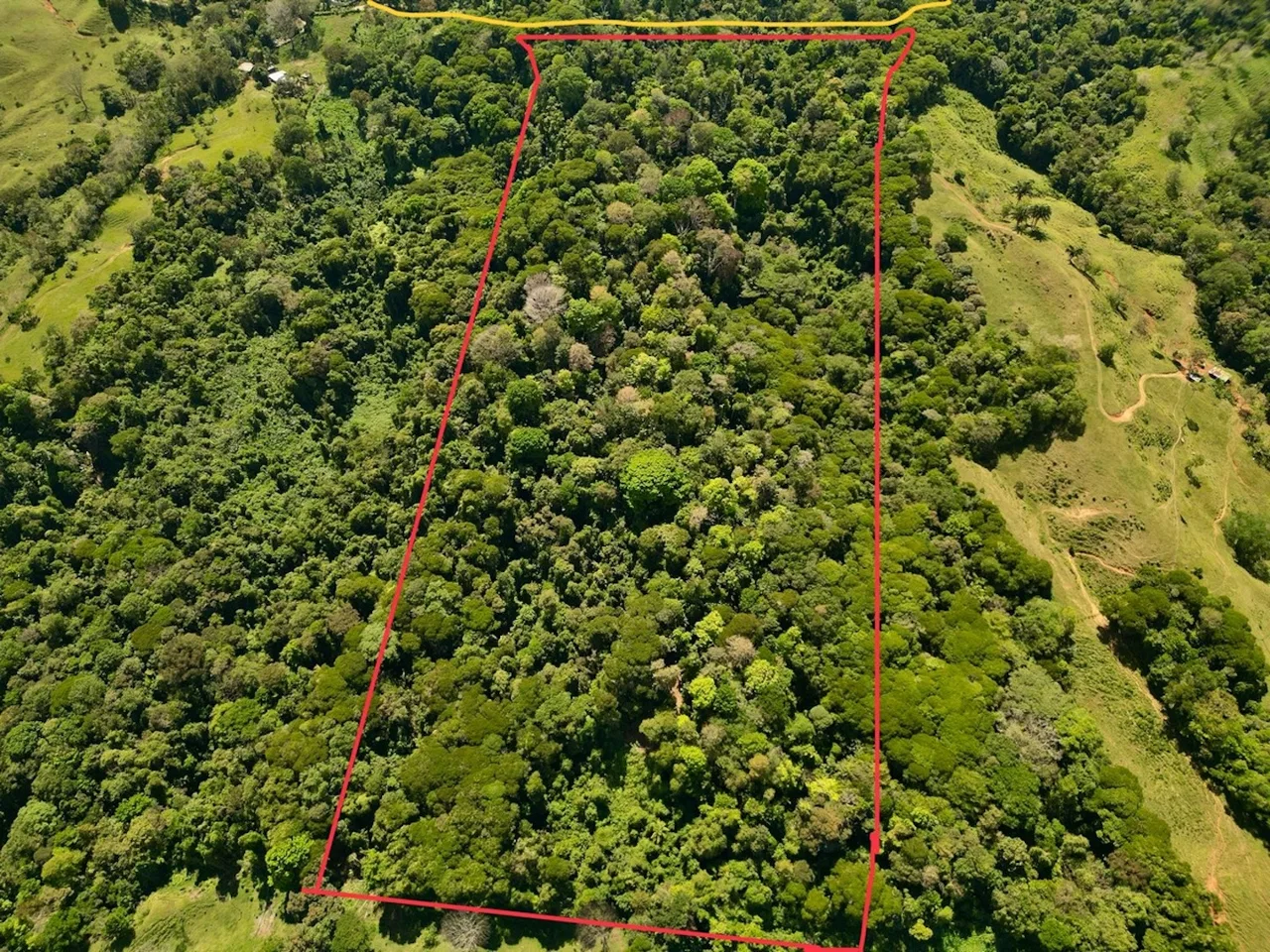 DEVELOPMENT MOUNTAIN  PROPERTY, IN PLATANILLO – 40.7 ACRES, photo 3