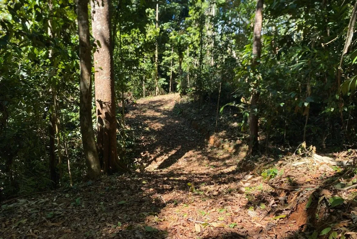 DEVELOPMENT MOUNTAIN  PROPERTY, IN PLATANILLO – 40.7 ACRES, photo 24