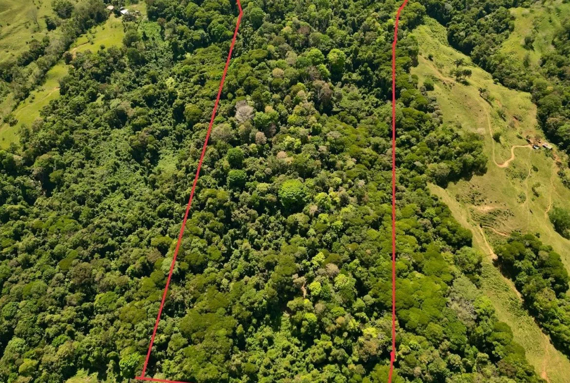 DEVELOPMENT MOUNTAIN  PROPERTY, IN PLATANILLO – 40.7 ACRES, photo 4