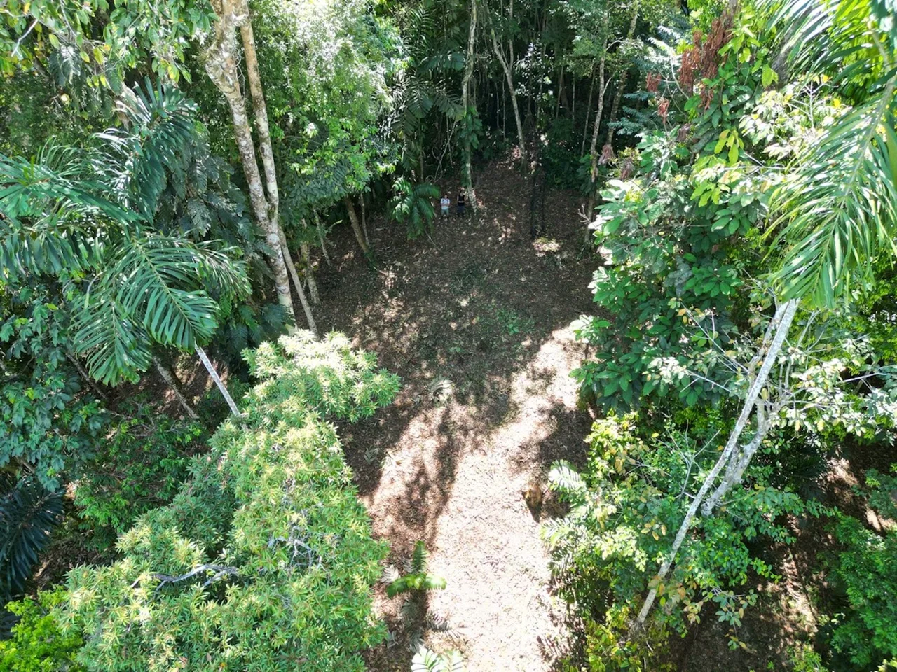 DEVELOPMENT MOUNTAIN  PROPERTY, IN PLATANILLO – 40.7 ACRES, photo 5