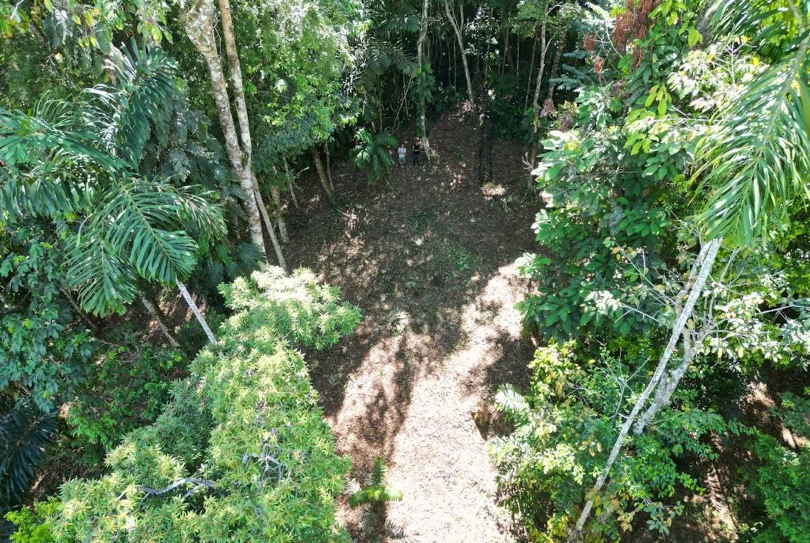 DEVELOPMENT MOUNTAIN  PROPERTY, IN PLATANILLO – 40.7 ACRES, photo 6