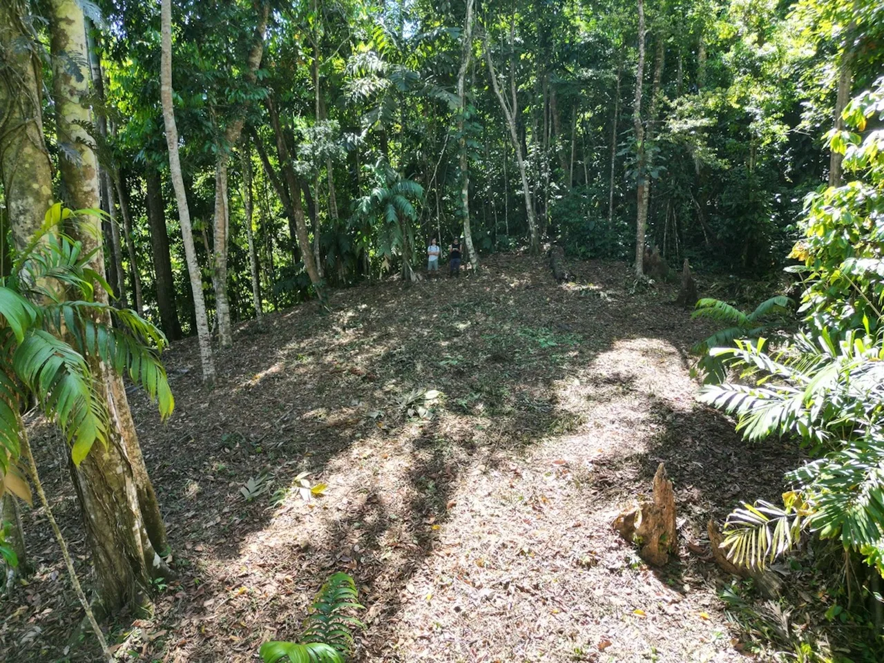 DEVELOPMENT MOUNTAIN  PROPERTY, IN PLATANILLO – 40.7 ACRES, photo 7
