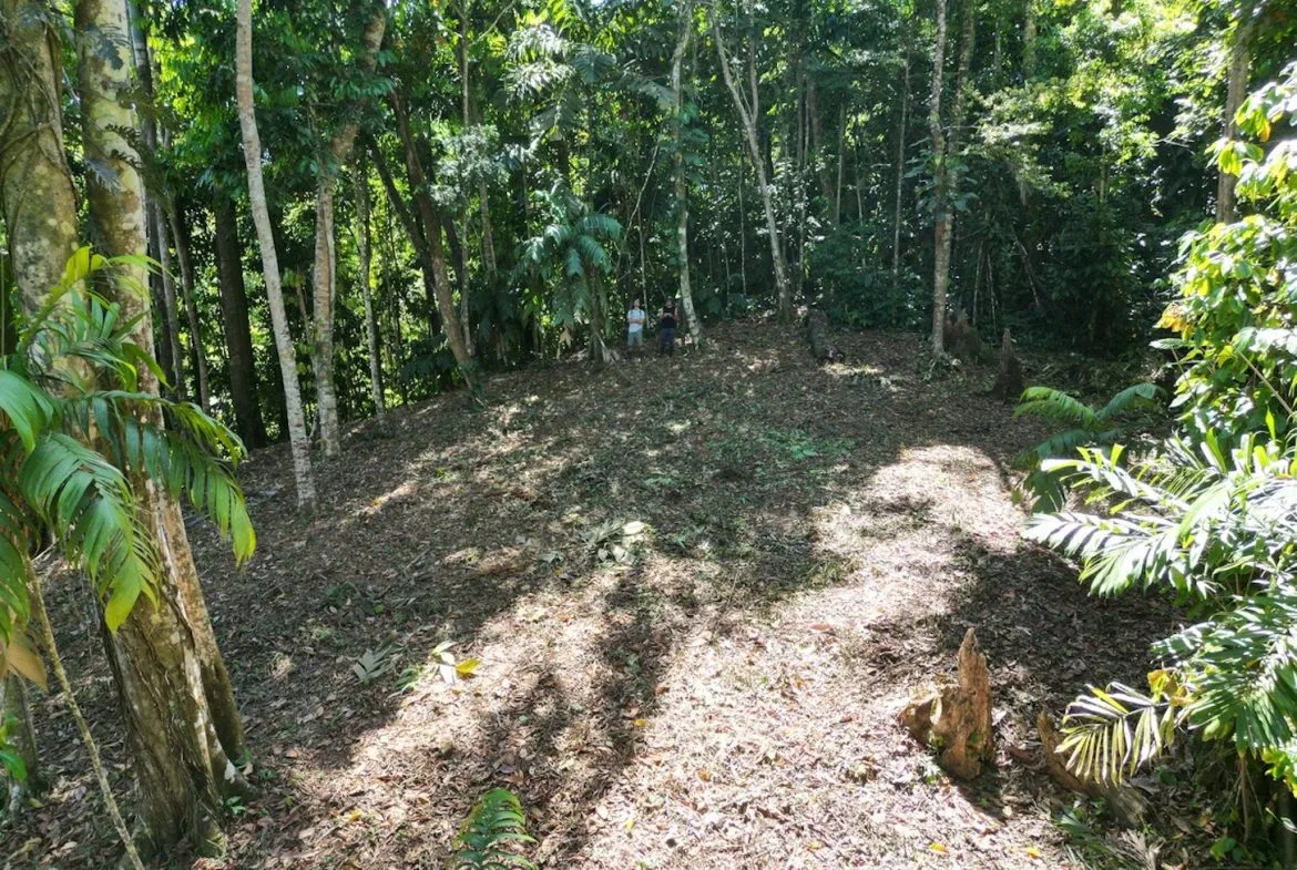 DEVELOPMENT MOUNTAIN  PROPERTY, IN PLATANILLO – 40.7 ACRES, photo 8