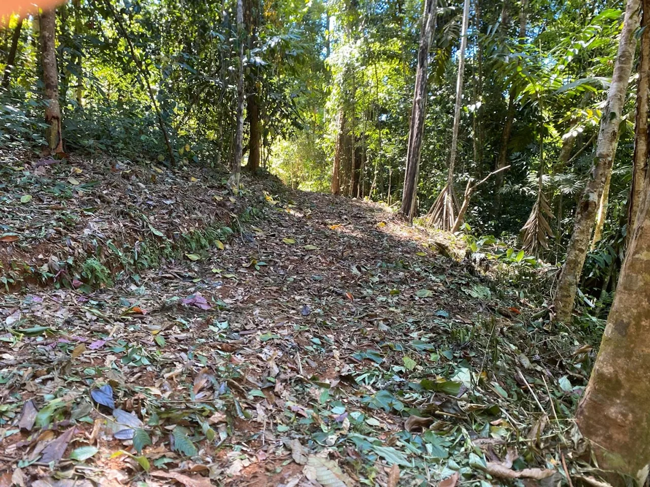 DEVELOPMENT MOUNTAIN  PROPERTY, IN PLATANILLO – 40.7 ACRES, photo 9