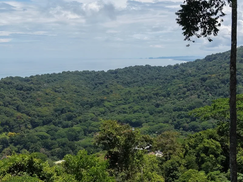 Land For Sale in Dominical, photo 2
