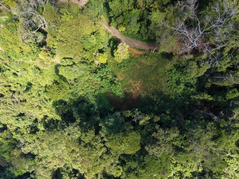 Land For Sale in Dominical, photo 10